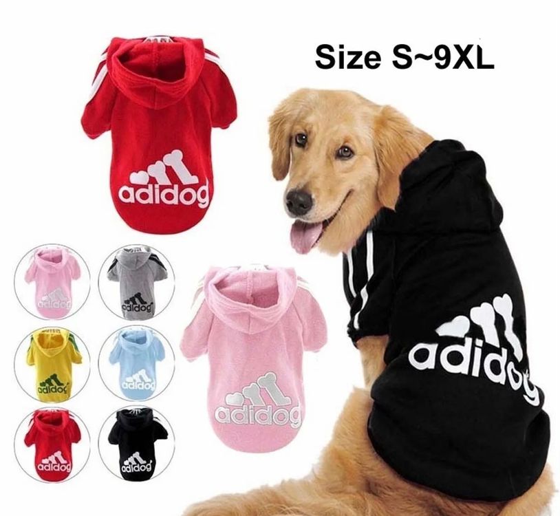 Pull best sale adidog chien