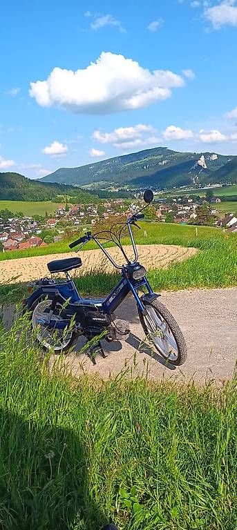 Puch Ciclomotori: Puch Super Maxi S LG2 – Usato da Laupersdorf venduto da mue_gvf9