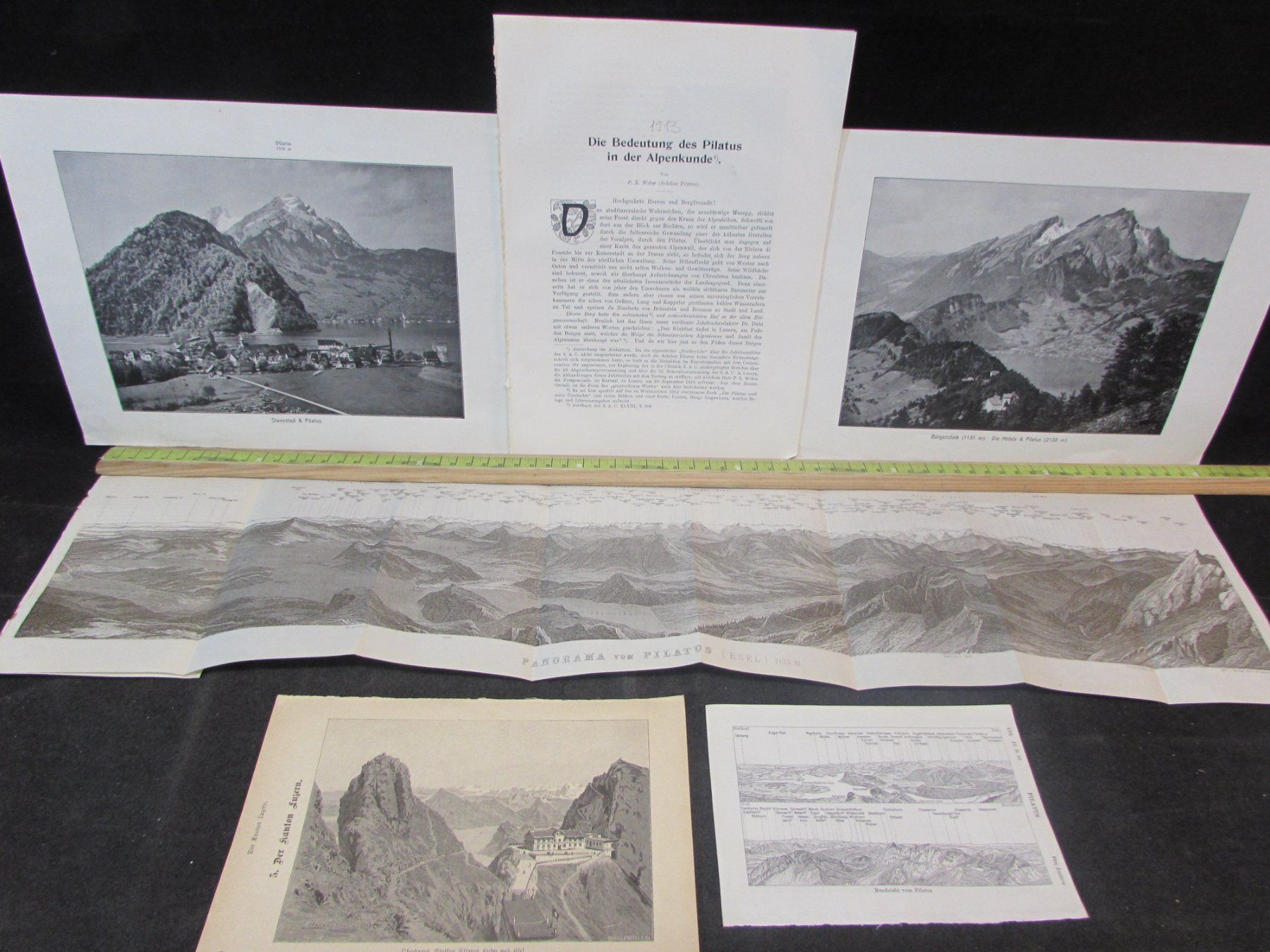 Incisioni: Grosses Lot Pilatus, 1900/13 – Usato da Walchwil venduto da Shells1