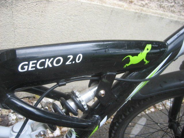 Biciclette: Kindervelo Gecko 2.0 / 20 Zoll – Usato da Winterthur venduto da pf02 7