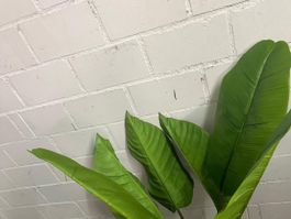 Künstliche Pflanze gross, 7 Bananen Bläter, Dekoration