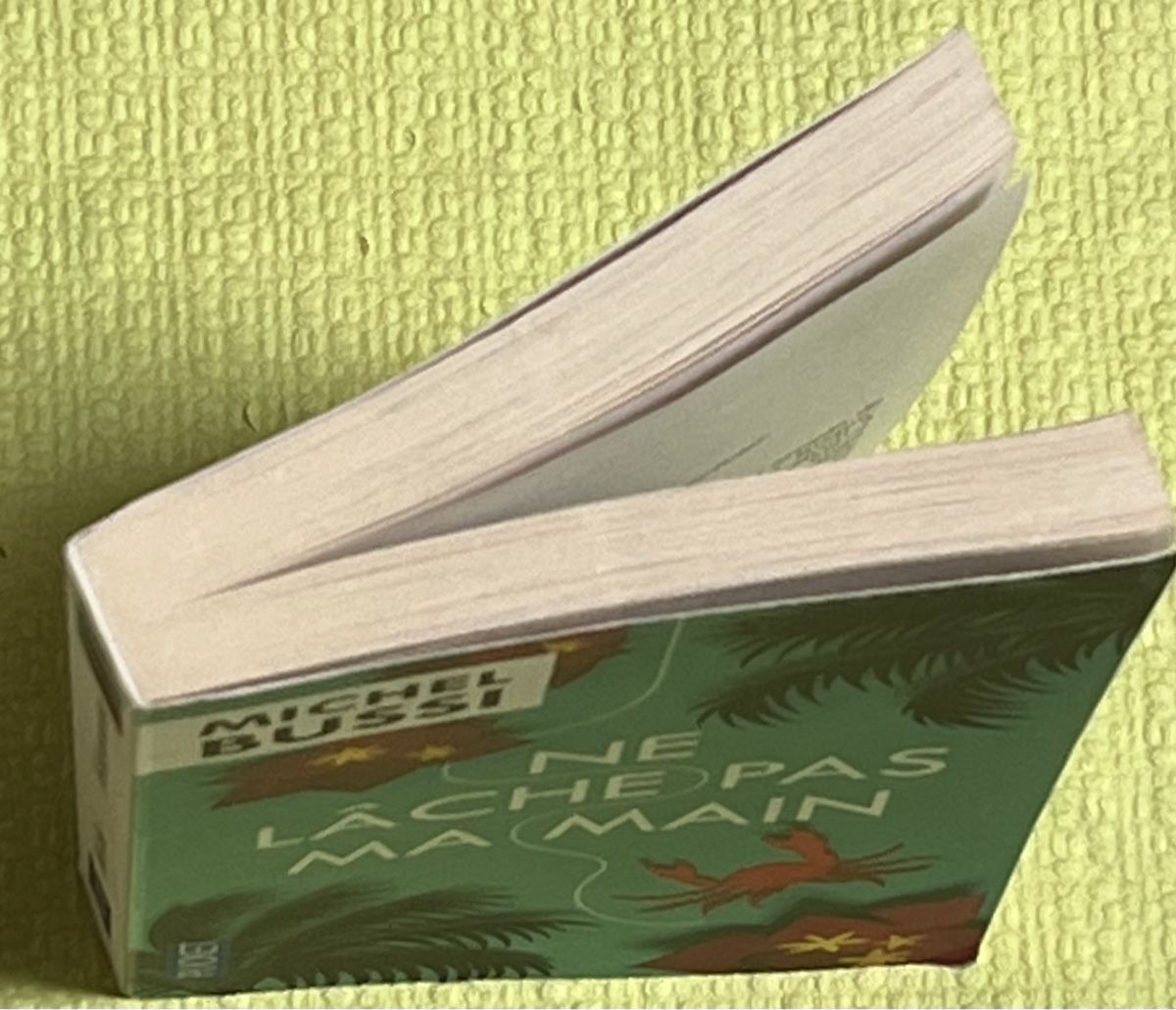 Bücher: Ne lâche pas ma main Michel Bussi – Gebraucht aus La Tour-de-Peilz von Pansy02 7