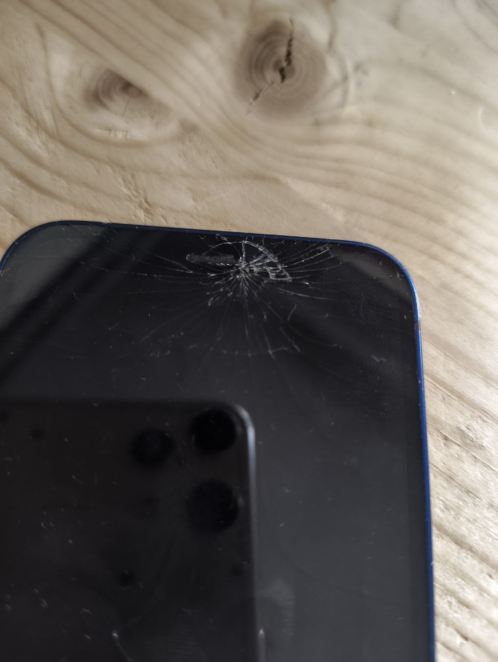Apple Telefoni cellulari / Smartphones: iPhone 12 mini – Usato da Biel/Bienne venduto da AOBurg 3