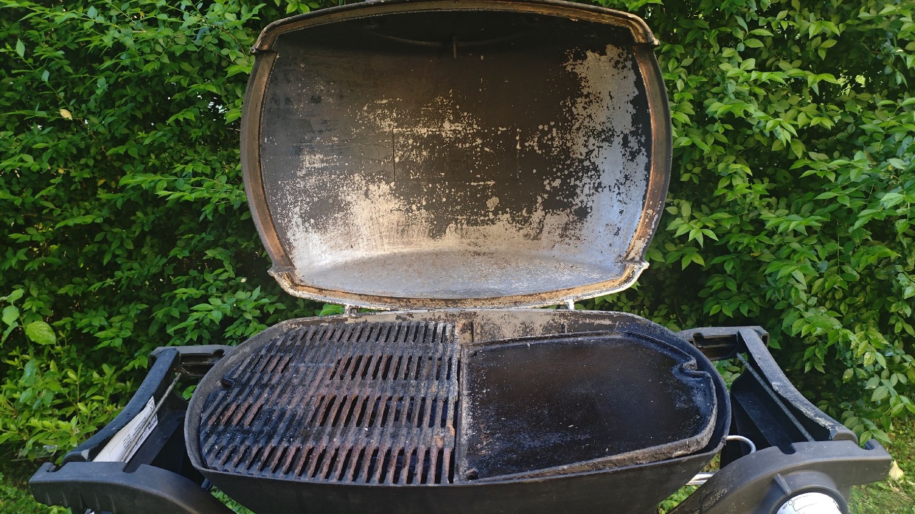 Griglie: Weber Q 300 BUTN/PROPN BBQ grill – Usato da Zürich venduto da lau_nmx8 5