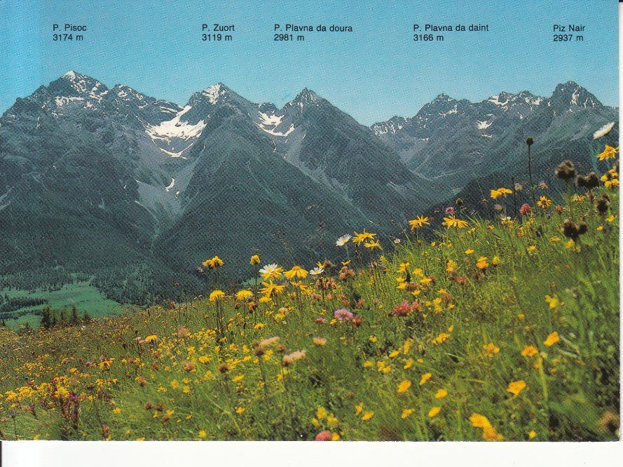 Cartoline postali: Ftan Prui 1989 – Usato da Bürglen TG venduto da StampGraf