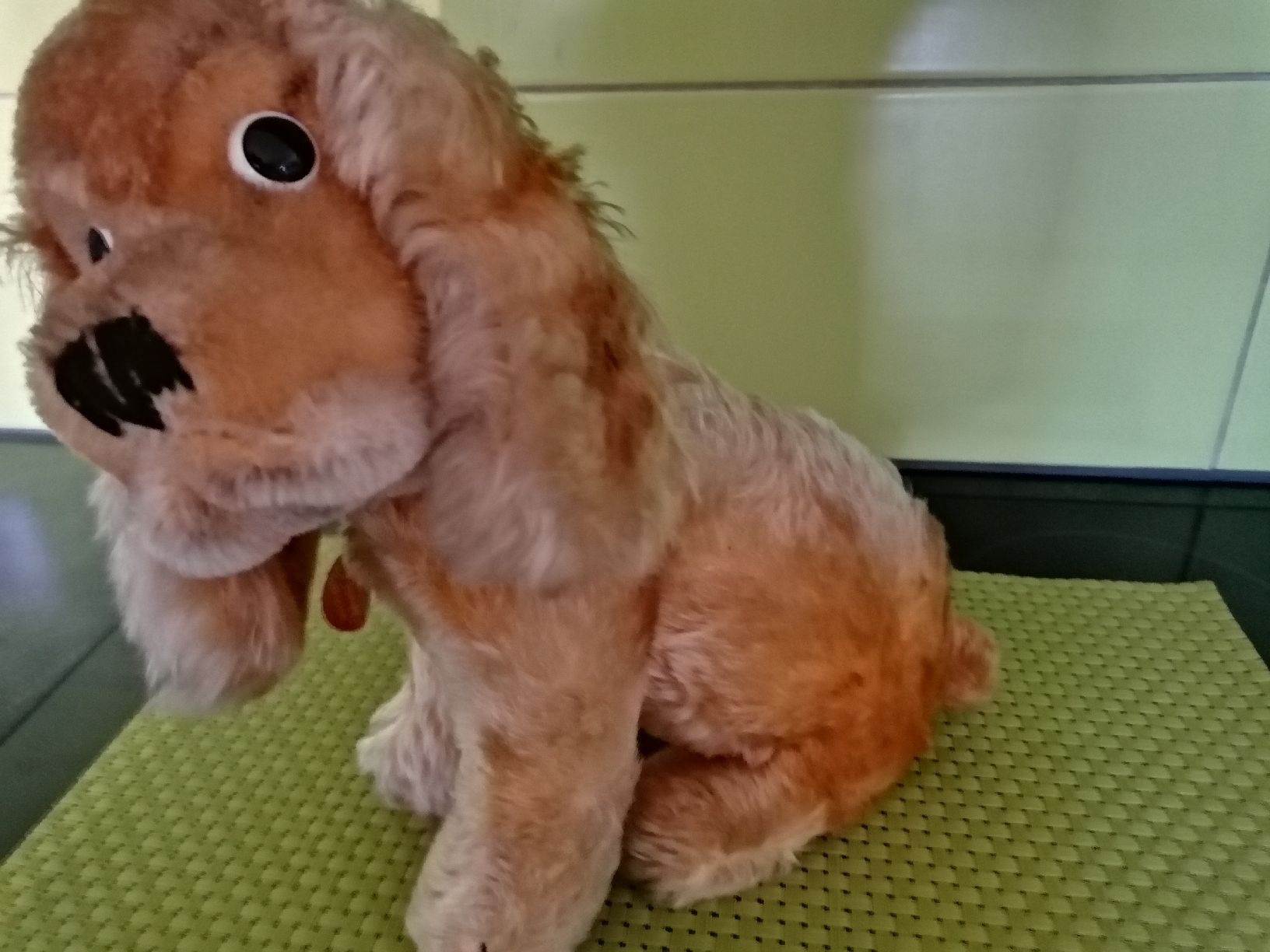 Steiff Jouets: Steiff Revue Susi Gross  – D'occasion à Biberist par troedlerheinz 1