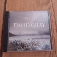 David Gray - White Ladder