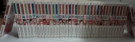 Magister Negi Magi 1-38 + Neo 1-7 Deutsch