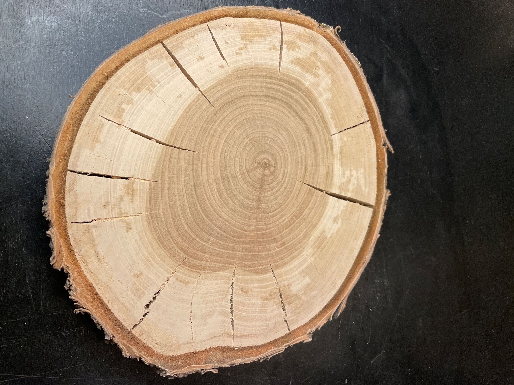 Articoli in legno: Holzscheibe Kirsche alt – Usato da Brunnen venduto da Holz-style 4