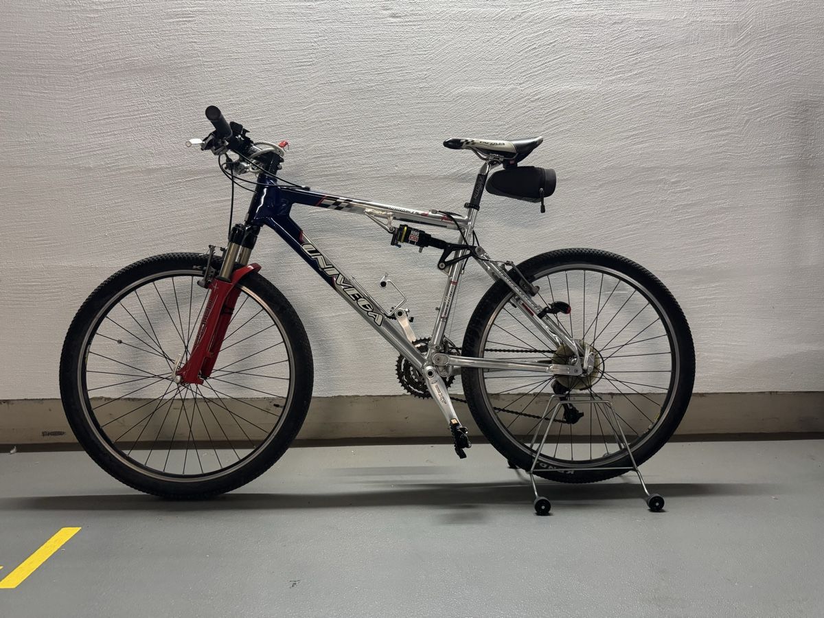 Alpina Biciclette: Herren Bike – Usato da Ermensee venduto da AstridSeetal