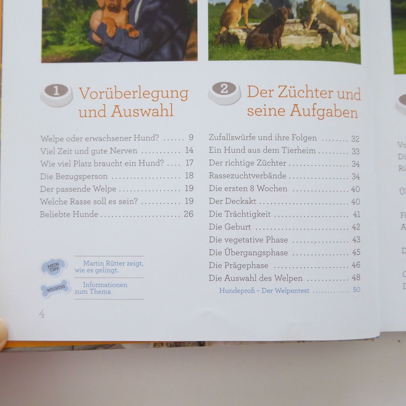 Libri: Welpentraining mit Martin Rütter – Usato da Basel venduto da Kunterbunt12 2