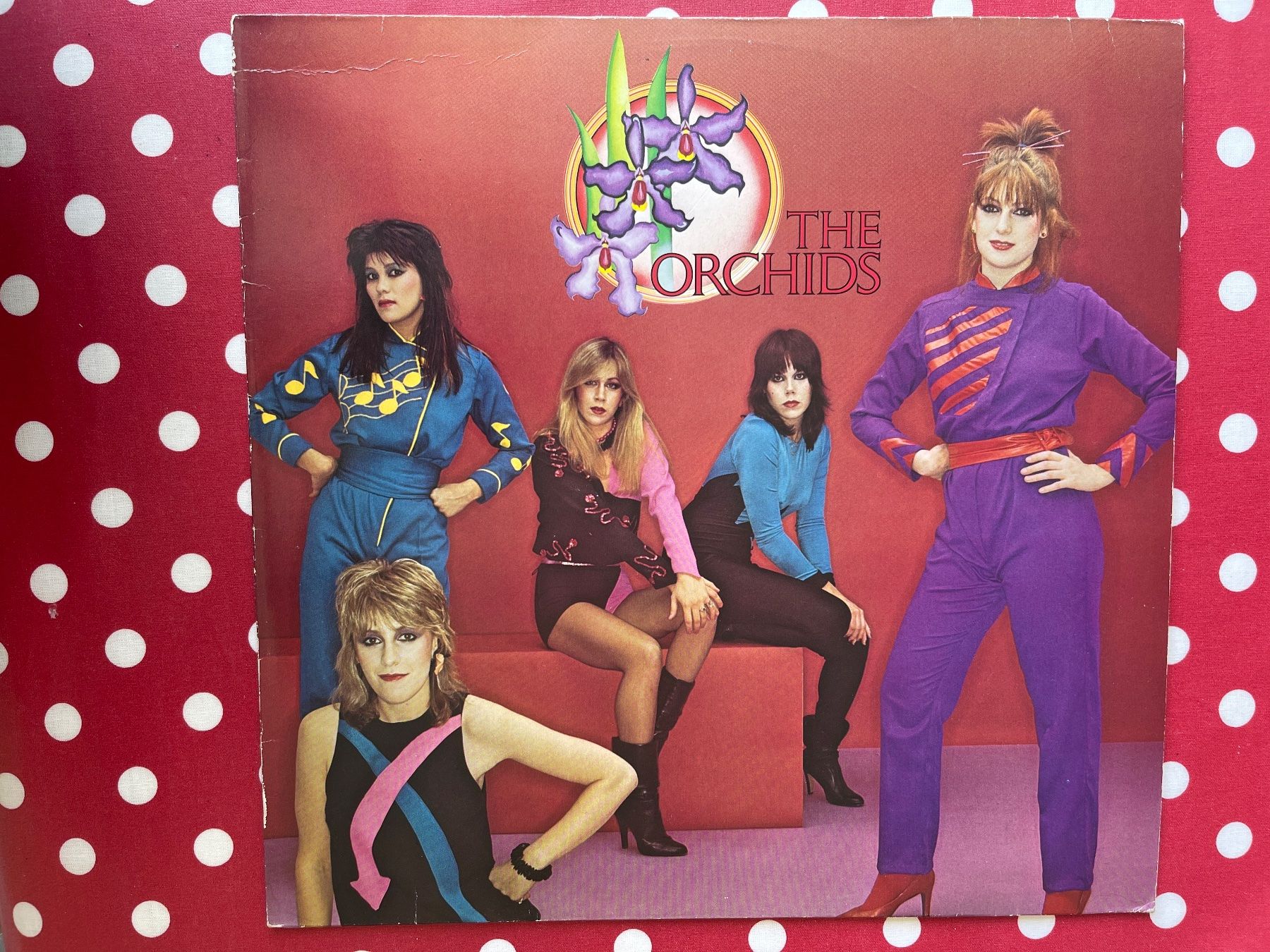 Vinyles: A524/The Orchids – D'occasion à Frutigen par Philippe_jsp