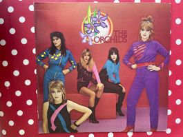 A524/The Orchids