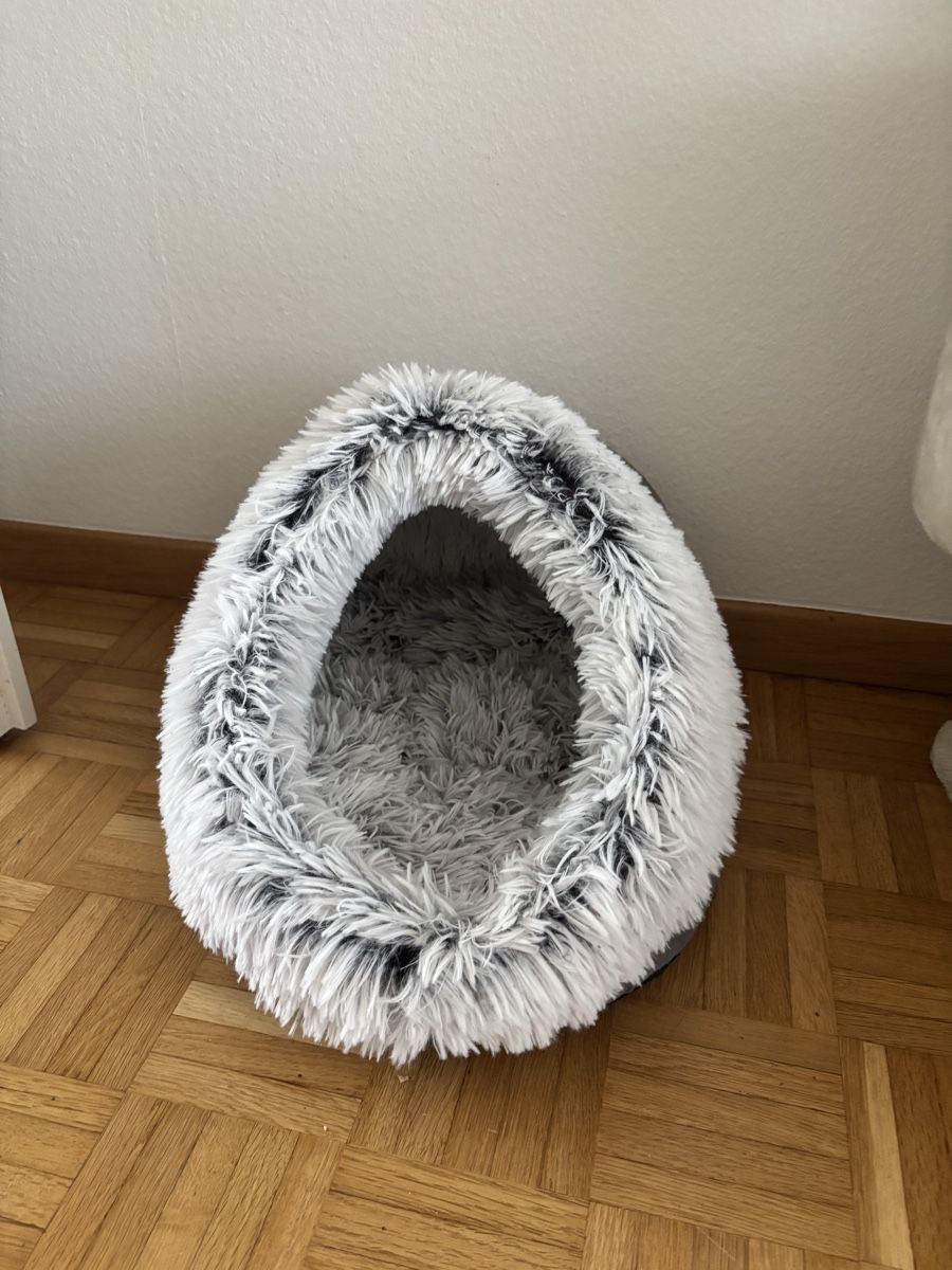 Tiragraffi: Katzen Zubehör Set - gebraucht – Usato da Baden venduto da che_qfy8 5
