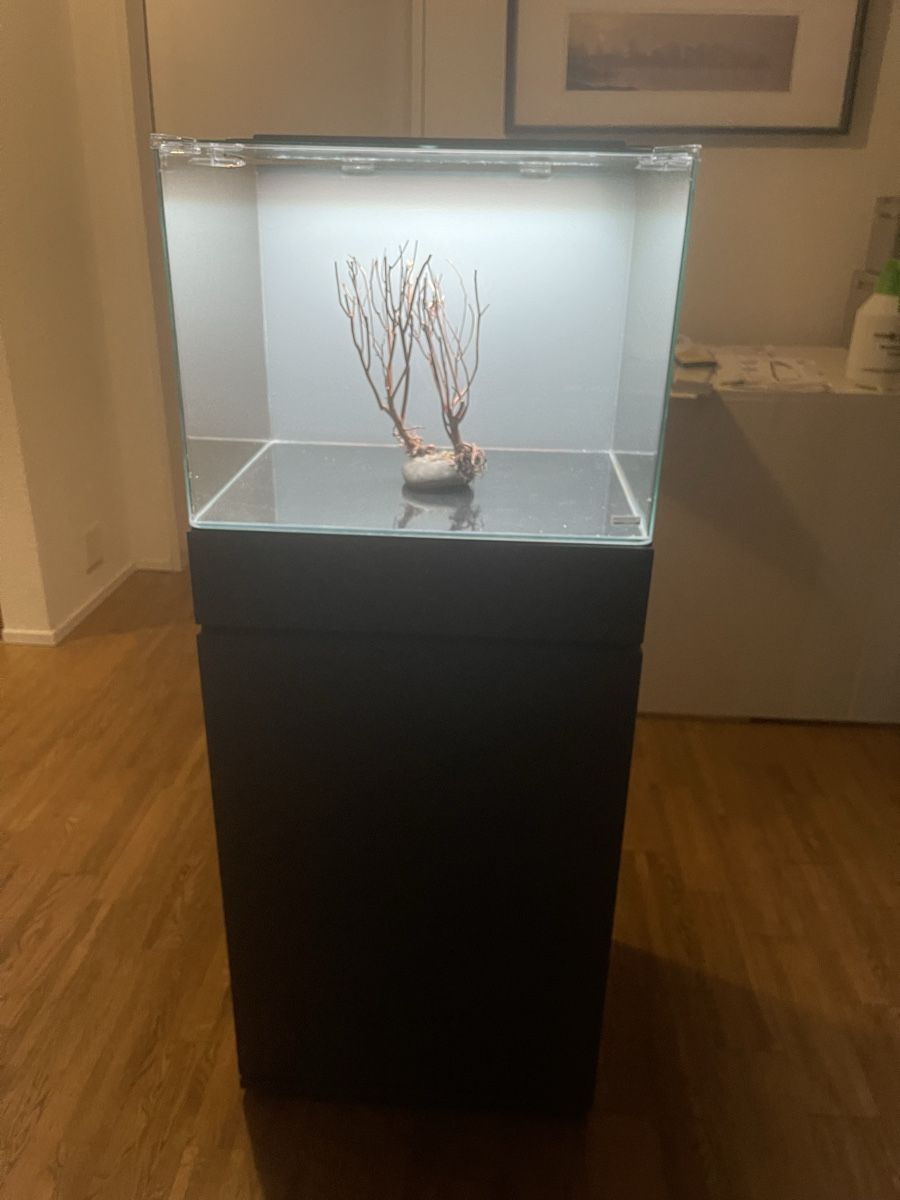 Dennerle Aquarium: Aquarium 🐟 Scapers Tank – Gebraucht aus Hinwil von ron_t8wh 2