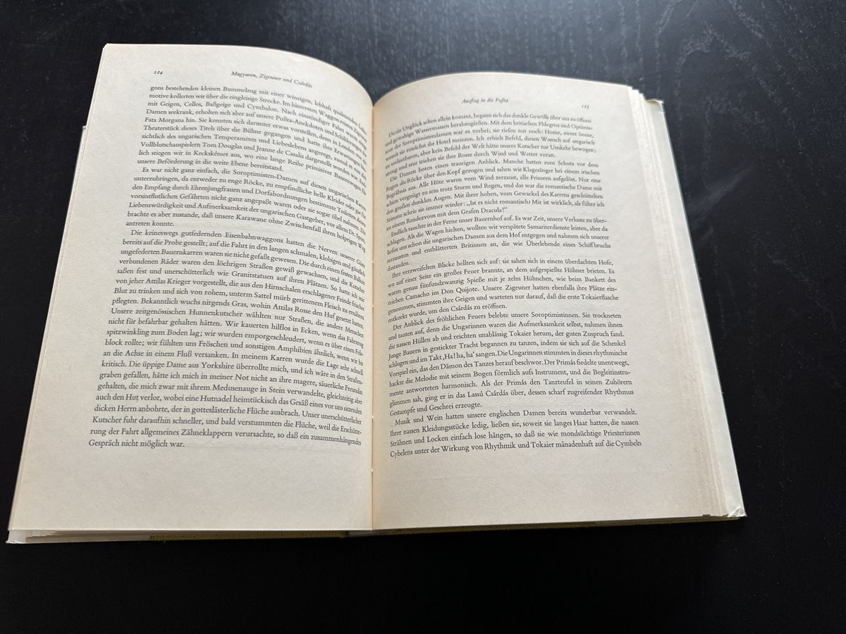 Bücher: Auf Zigeunerspuren – Gebraucht aus Erstfeld von Uhu1980 3