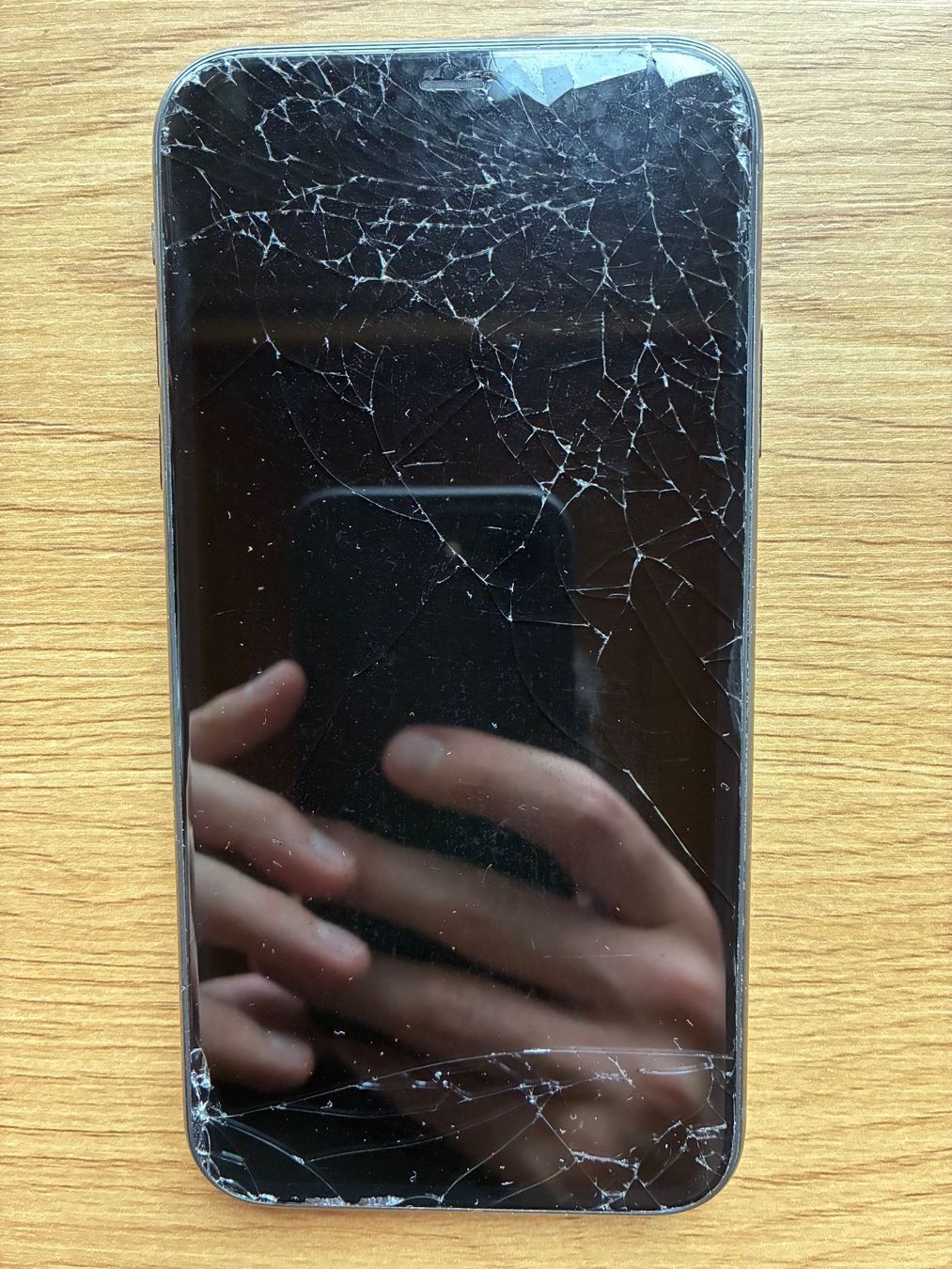Apple Telefoni cellulari / Smartphones: iPhone 11 Schwarz 128gb – Usato da Thun venduto da KalebHWinter 1