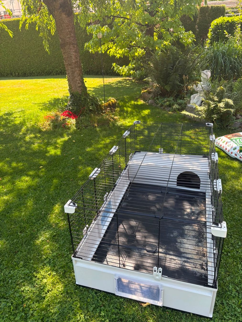 Cages, transport & sécurité: Kaninchen Käfig – D'occasion à Seuzach par steven_mueller01 3