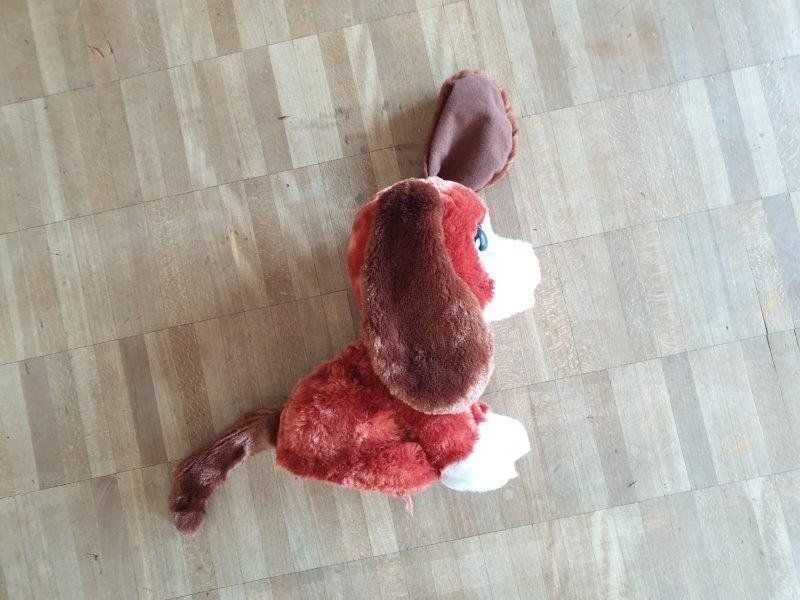 FurReal Giocattoli: Fur Real Hector – Usato da Wil SG venduto da Drop4 1
