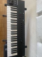 Native Key A49