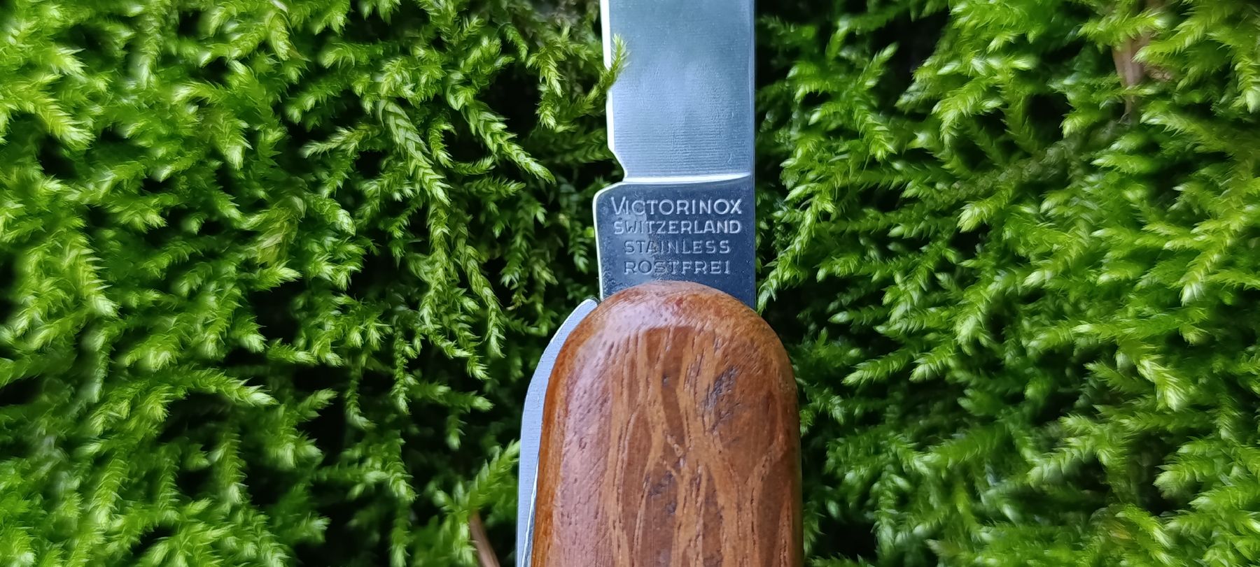 Victorinox Coltelli tascabile: Victorinox Taschenmesser  – Usato da Oppligen venduto da can_rf8g 3