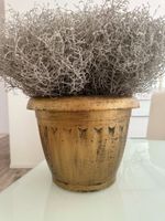 Grössere Blumentopf