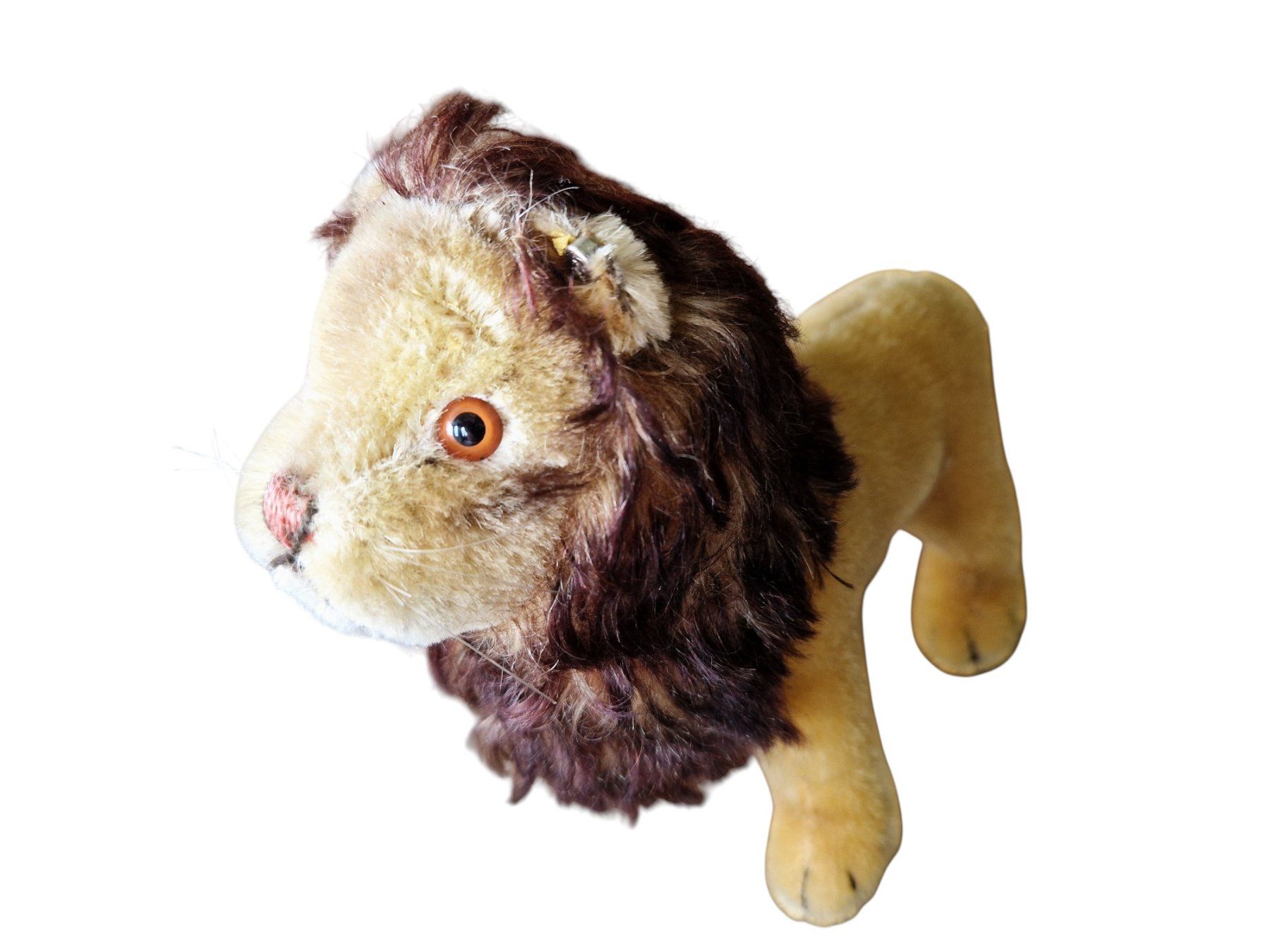 Steiff Giocattoli: Steiff Plüschtier Leo 1950er – Usato da Mörschwil venduto da lindaswunderkiste 3
