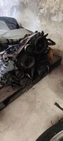 Motor ducato