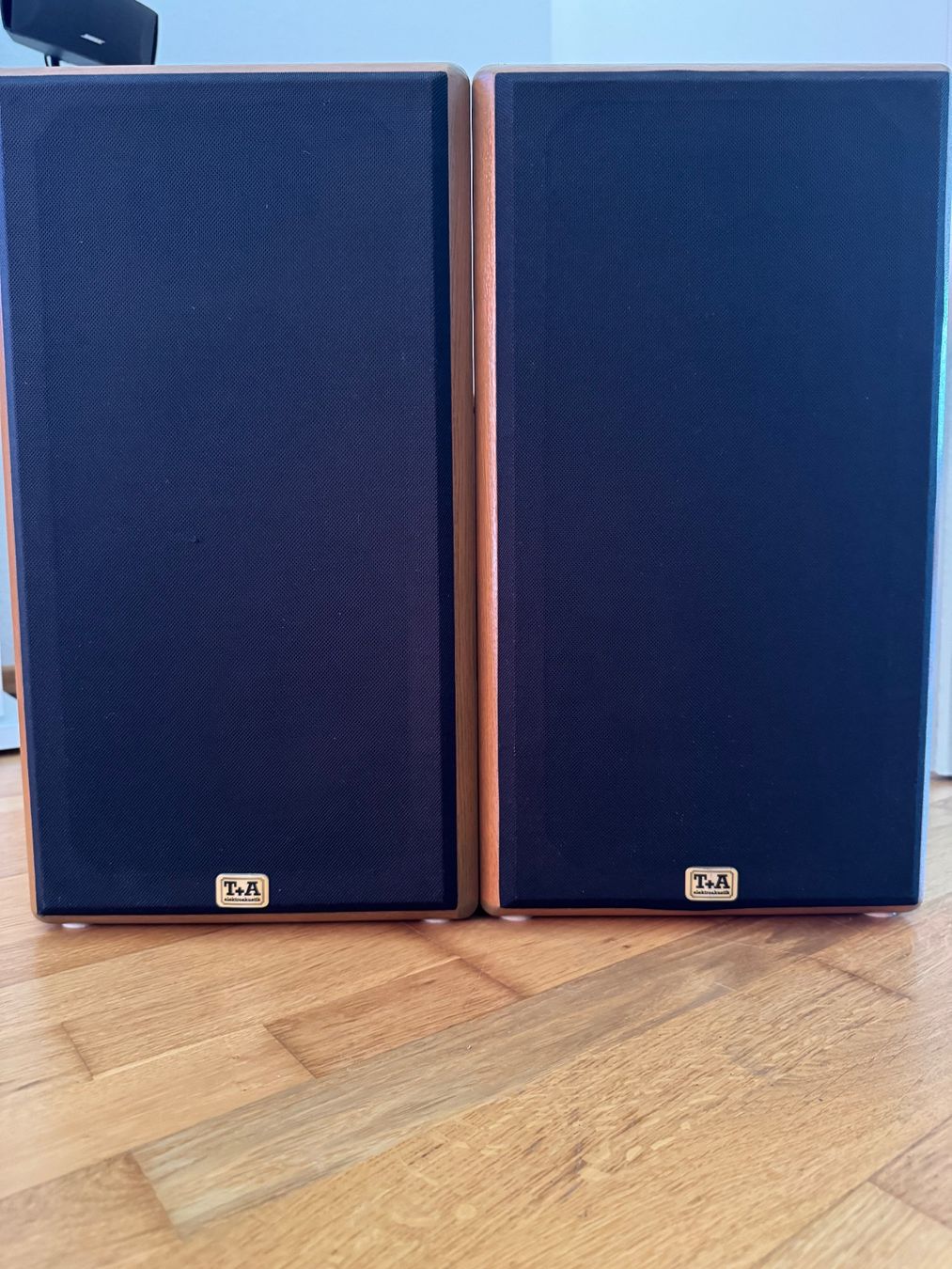 Casse acustiche: T+A Stratos P20 – Usato da Trimbach venduto da mej_njj9 5