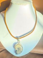 Nautilus Anhänger mit Kette NEU