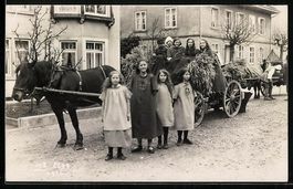 Foto-AK Elgg, Kinder mit einer Pferdekut