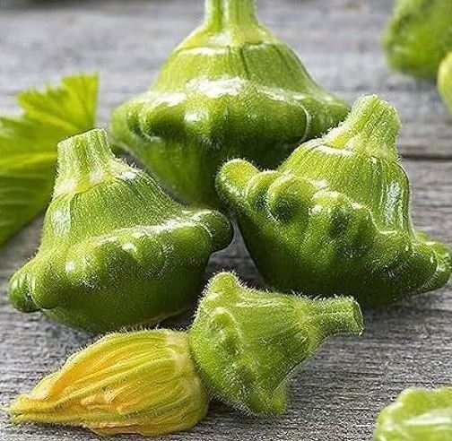 Pflanzen & Samen: PATISSON OKRA / 6 Samen – Neu (gemäss Beschreibung) aus Hinteregg von ERFOLG78