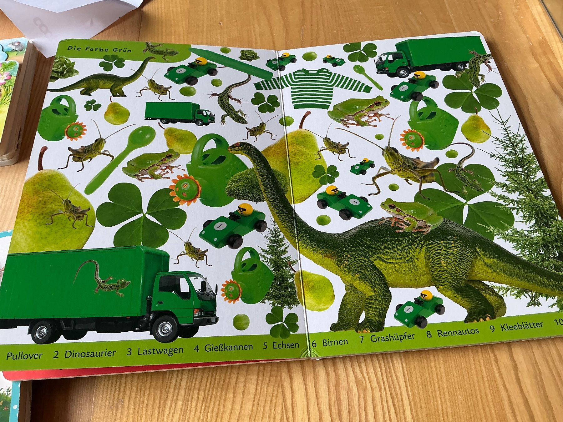 Libri: Duden - Kennst du das? 100 Sachen – Usato da Oberdorf SO venduto da walterrueefli 2