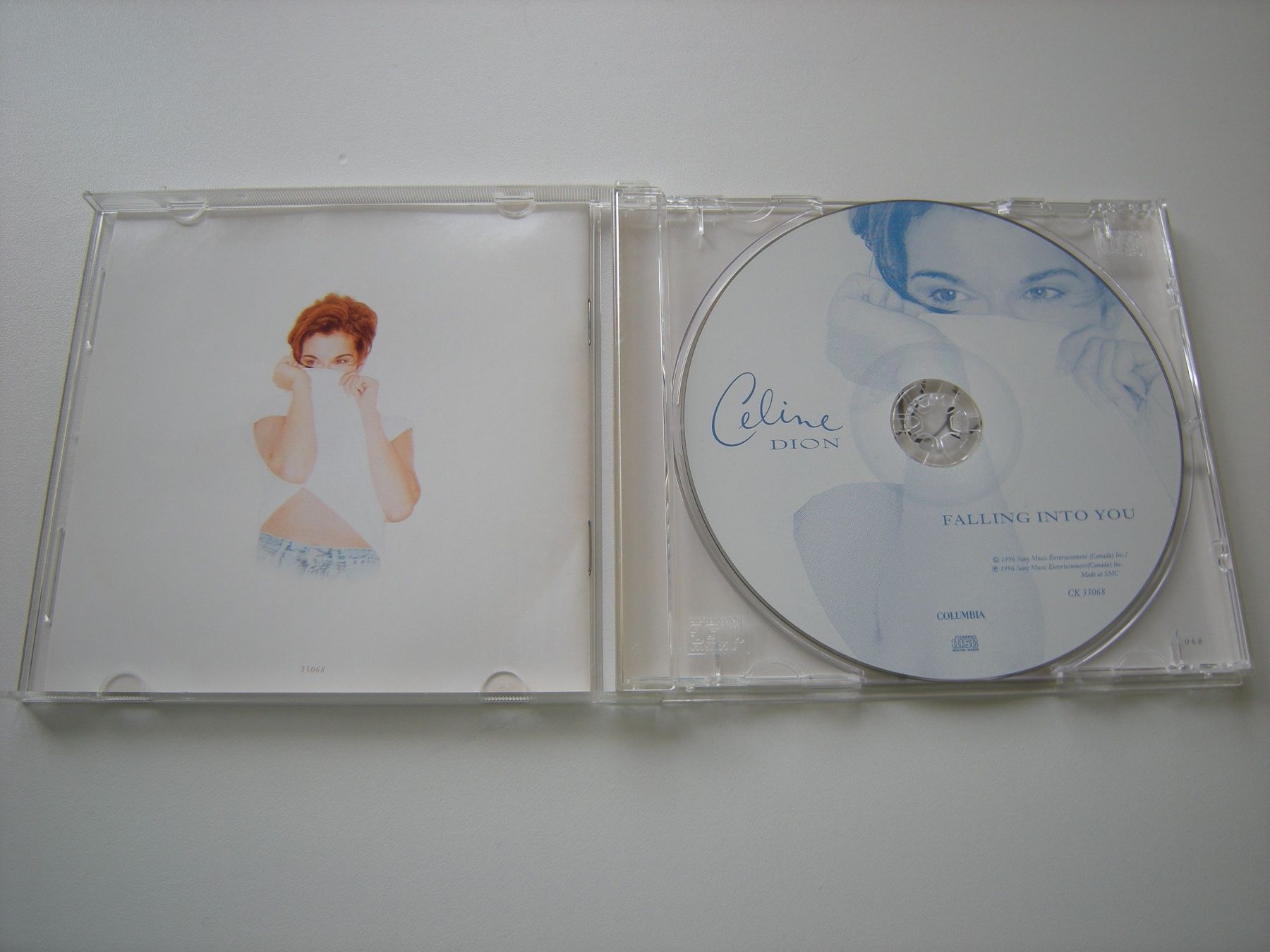 CDs: CELINE DION - Falling into you – Gebraucht aus Basel von Ceebee62 2