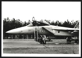 Fotografie Flugzeug Douglas F-15 Eagle d