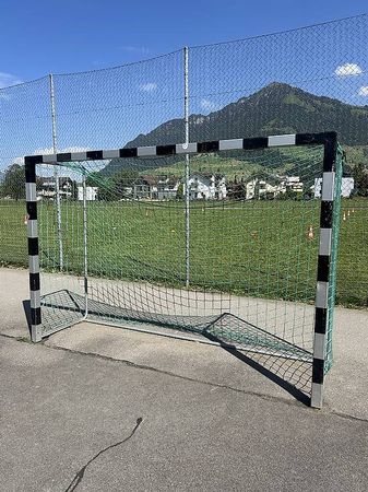 Tor Handball