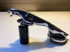 Jaguar Kühlerfigur "LEAPING CAT“ Signatur A & SDS verchromt