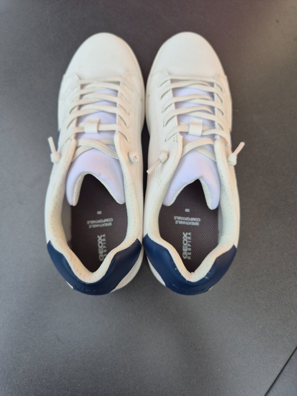 Geox Schuhe für Jungen: Geox Sneaker Gr. 39 – Gebraucht aus Steinen von sius21 1