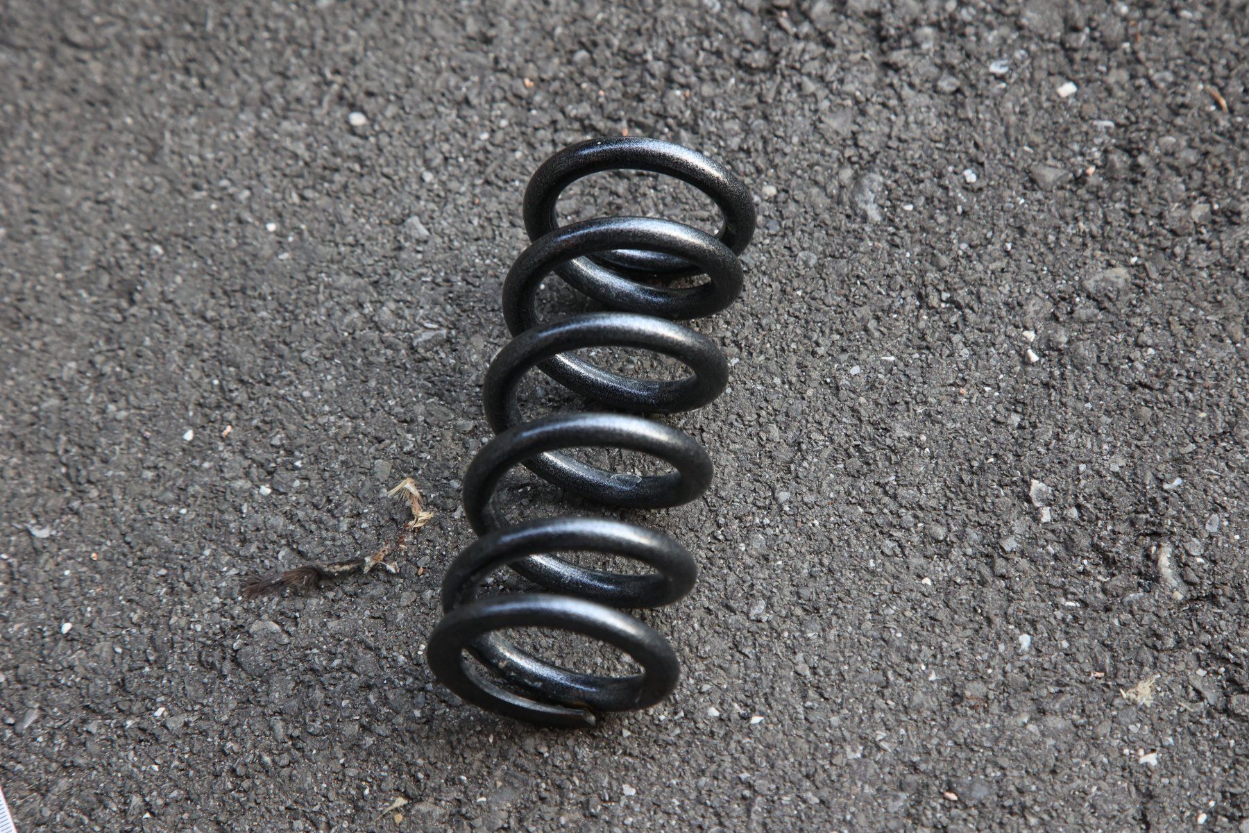 Il mondo degli animali: EXT C75 375 lbs Coil Feder – Usato da Zug venduto da Mtb09 4