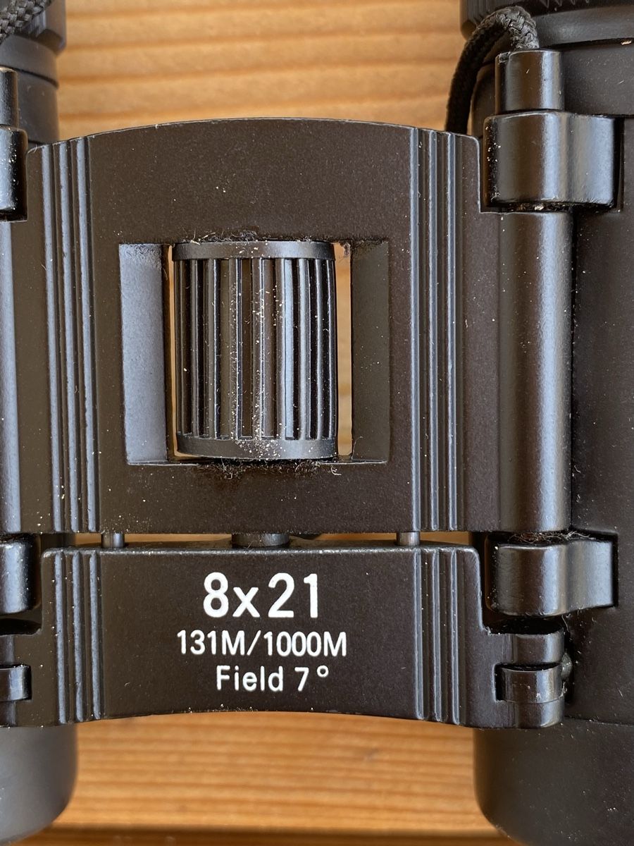 Binocoli: Fernglas 8x21 – Nuovo (secondo la descrizione) da Rabius venduto da bri_ca76 8