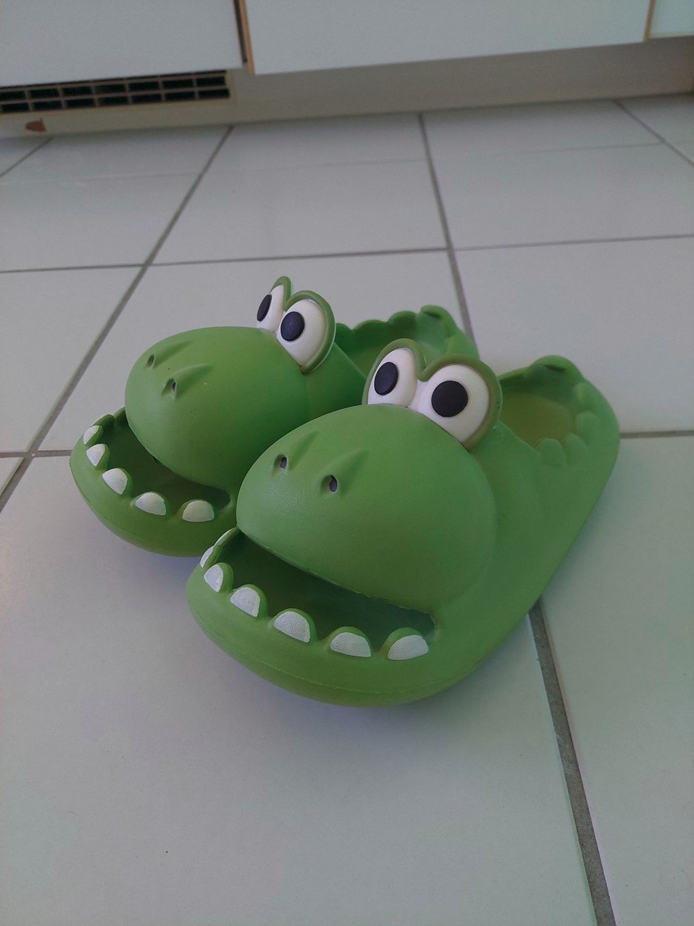 Scarpe da uomo: Lustige Hausschuhe – Usato da Dietikon venduto da Giraffaella 1