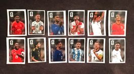 🔥Alle 12 Coca Cola Panini Sticker WM Panini 2026 - Komplett