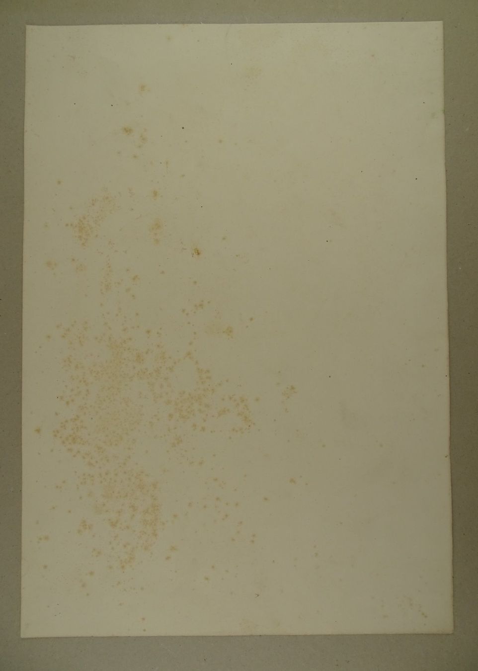 Incisioni: OREILLES D’OURS, LITHOGRAPHIE UM 1850 – Usato da Grüningen venduto da Kartensammler 6