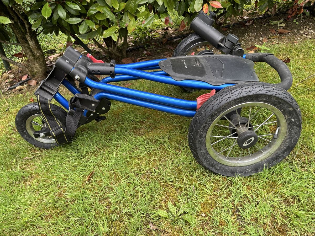 Trolley: Golf trolley ⛳️  – Usato da Genève venduto da god_nr55 3