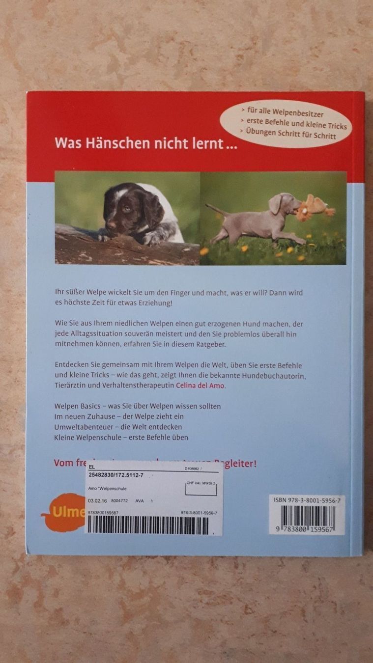 Libri: Welpenschule Celina del Amo – Usato da Basel venduto da Alacant 1