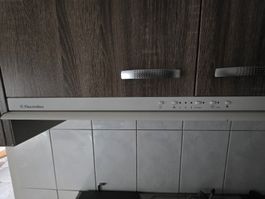 Dunstabzugshaube Electrolux gebraucht voll funktionsfähig