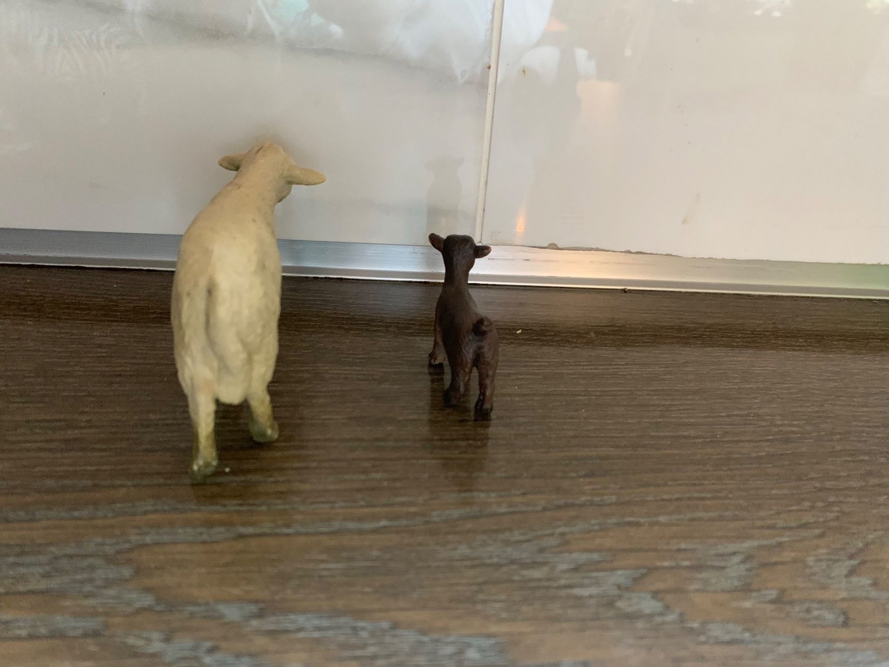 Schleich Statuette: Schleich Schaf und Zicklein – Usato da Richterswil venduto da irenemiz 2