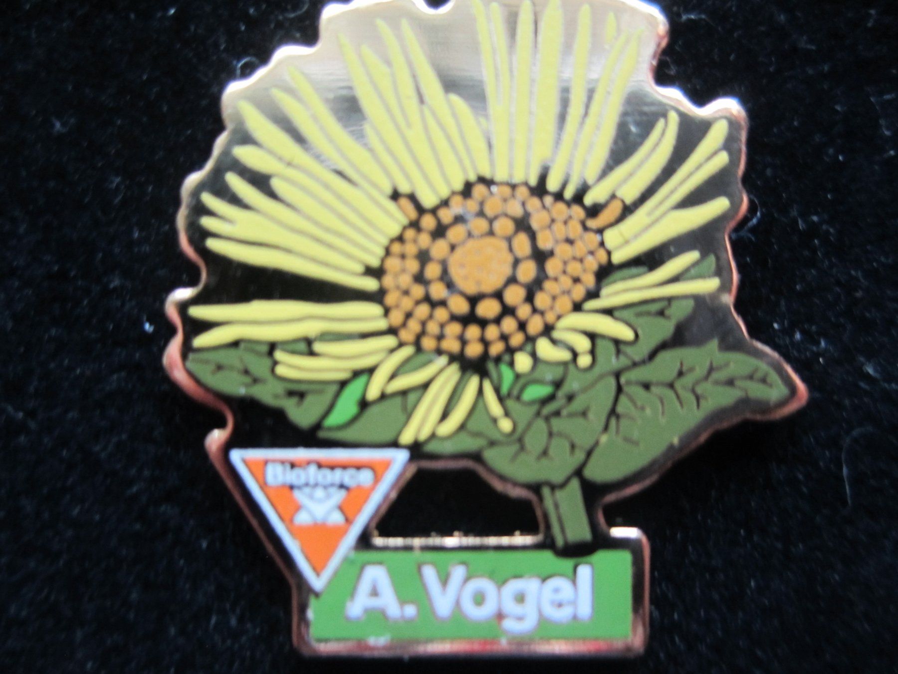 Placchette & Badge: Dr. Vogel Pin`s – Nuovo (secondo la descrizione) da Romanshorn venduto da Mosro 1
