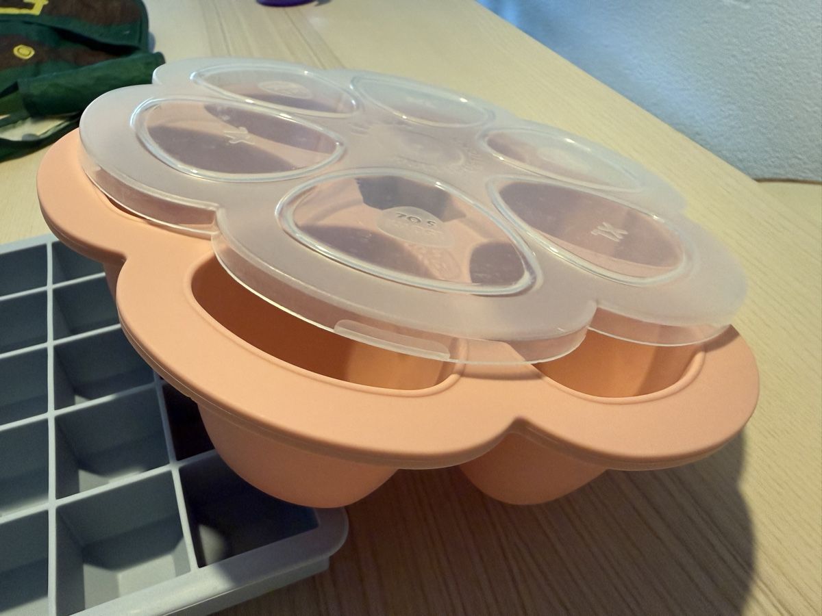 Contenitori & Simili: Baby Brei Aufbewahrung Set – Usato da Zürich venduto da chr_5yqg 3