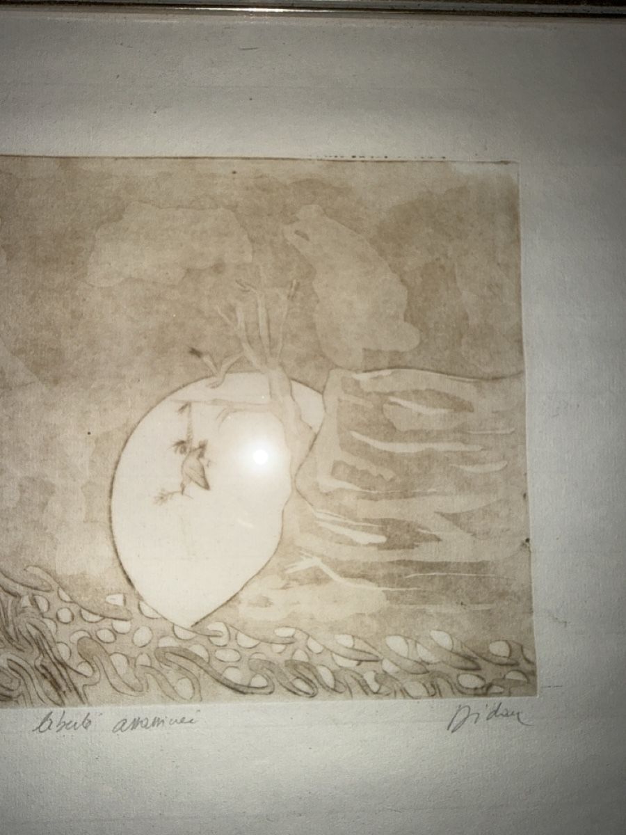 Grafica & Litografie: Original Abstract Etching,Proof Dreamlike Surreal 32.5x45.5 – Usato da Cevio venduto da BiadiciT 2